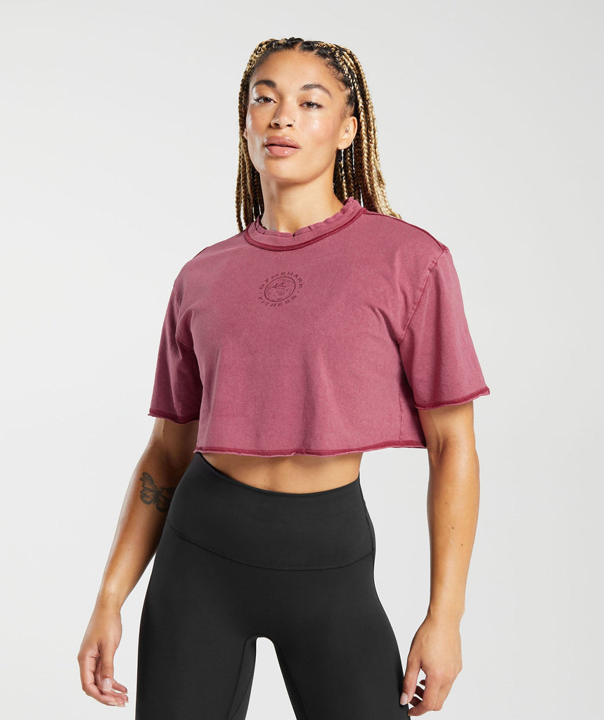 Gymshark Legacy Washed Crop Top - Raspberry Pink 1